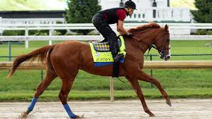 Justify, rider