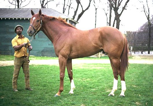 Secretariat, Rider